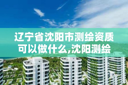 辽宁省沈阳市测绘资质可以做什么,沈阳测绘工资