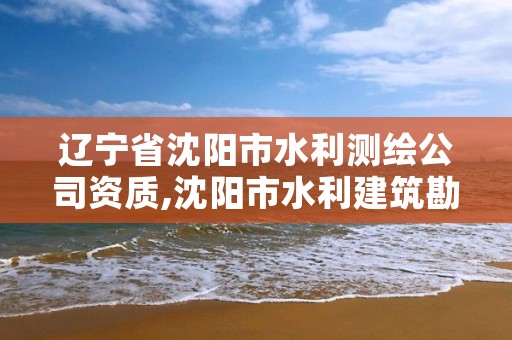 辽宁省沈阳市水利测绘公司资质,沈阳市水利建筑勘测设计院有限公司