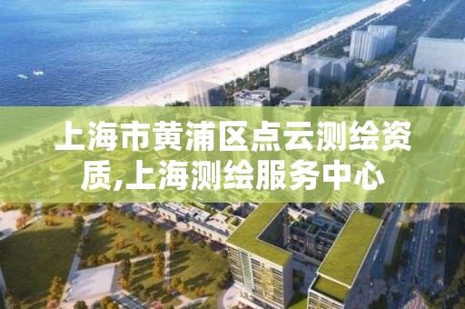 上海市黄浦区点云测绘资质,上海测绘服务中心