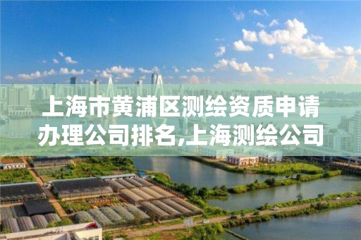 上海市黄浦区测绘资质申请办理公司排名,上海测绘公司有哪几家