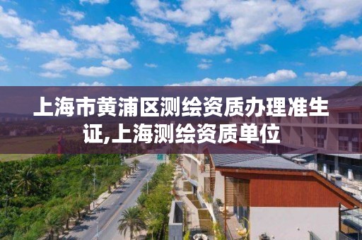 上海市黄浦区测绘资质办理准生证,上海测绘资质单位