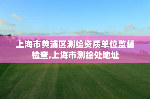 上海市黄浦区测绘资质单位监督检查,上海市测绘处地址