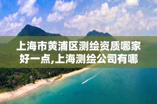 上海市黄浦区测绘资质哪家好一点,上海测绘公司有哪几家
