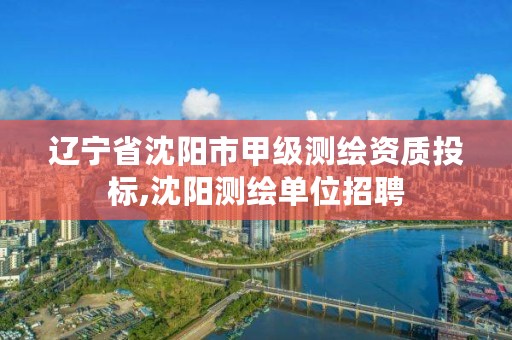 辽宁省沈阳市甲级测绘资质投标,沈阳测绘单位招聘