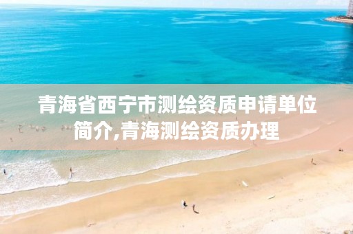 青海省西宁市测绘资质申请单位简介,青海测绘资质办理