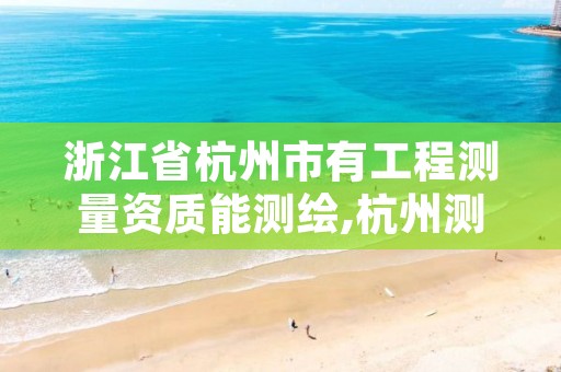 浙江省杭州市有工程测量资质能测绘,杭州测绘院