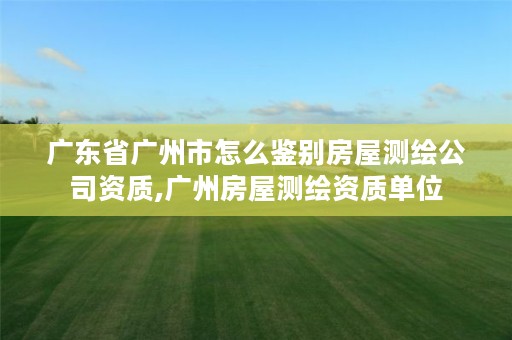 广东省广州市怎么鉴别房屋测绘公司资质,广州房屋测绘资质单位