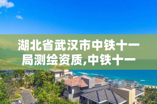 湖北省武汉市中铁十一局测绘资质,中铁十一局武汉分公司
