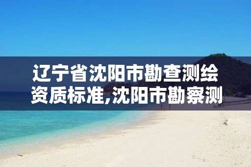 辽宁省沈阳市勘查测绘资质标准,沈阳市勘察测绘