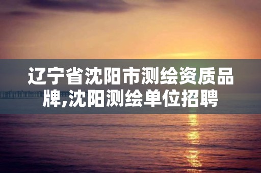 辽宁省沈阳市测绘资质品牌,沈阳测绘单位招聘