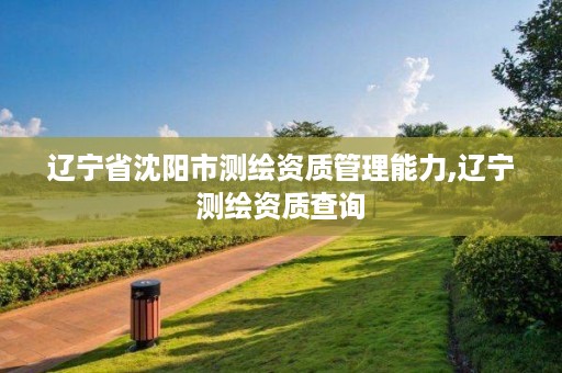 辽宁省沈阳市测绘资质管理能力,辽宁测绘资质查询