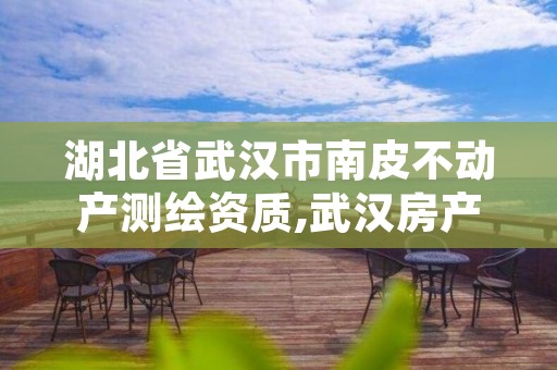 湖北省武汉市南皮不动产测绘资质,武汉房产测绘
