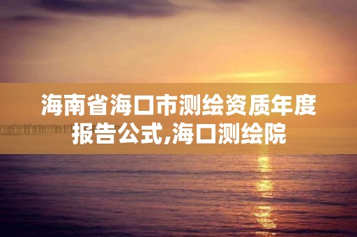 海南省海口市测绘资质年度报告公式,海口测绘院