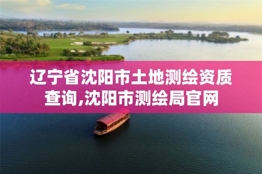 辽宁省沈阳市土地测绘资质查询,沈阳市测绘局官网