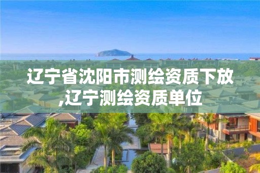 辽宁省沈阳市测绘资质下放,辽宁测绘资质单位