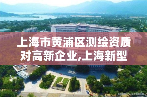 上海市黄浦区测绘资质对高新企业,上海新型测绘