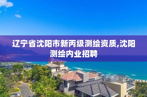 辽宁省沈阳市新丙级测绘资质,沈阳测绘内业招聘