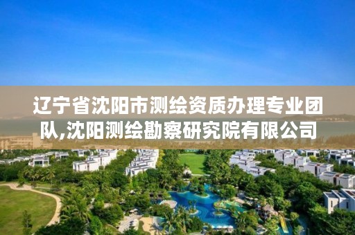 辽宁省沈阳市测绘资质办理专业团队,沈阳测绘勘察研究院有限公司