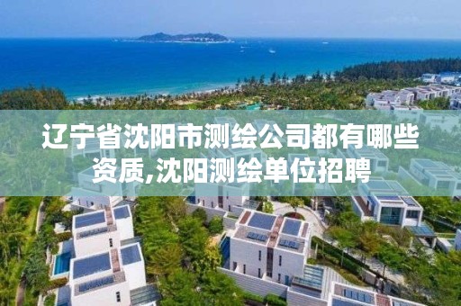 辽宁省沈阳市测绘公司都有哪些资质,沈阳测绘单位招聘