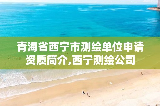 青海省西宁市测绘单位申请资质简介,西宁测绘公司