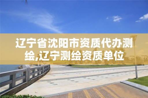 辽宁省沈阳市资质代办测绘,辽宁测绘资质单位