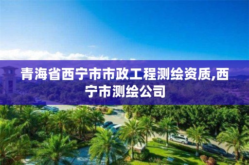 青海省西宁市市政工程测绘资质,西宁市测绘公司