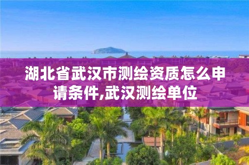 湖北省武汉市测绘资质怎么申请条件,武汉测绘单位