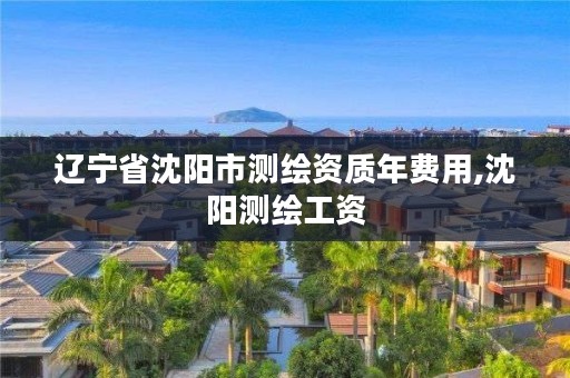 辽宁省沈阳市测绘资质年费用,沈阳测绘工资