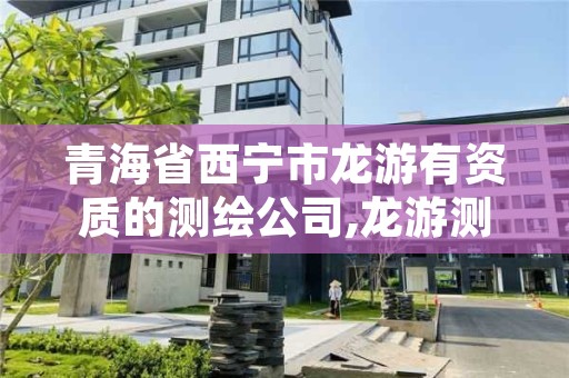 青海省西宁市龙游有资质的测绘公司,龙游测绘队张