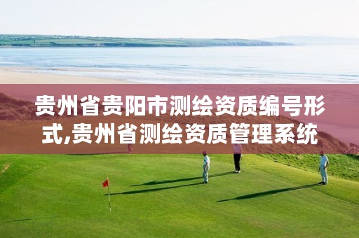 贵州省贵阳市测绘资质编号形式,贵州省测绘资质管理系统