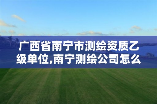 广西省南宁市测绘资质乙级单位,南宁测绘公司怎么收费标准