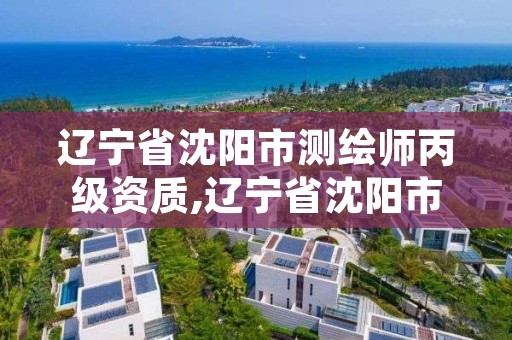 辽宁省沈阳市测绘师丙级资质,辽宁省沈阳市测绘师丙级资质有哪些