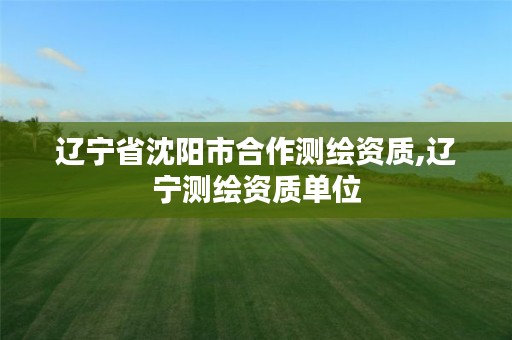 辽宁省沈阳市合作测绘资质,辽宁测绘资质单位