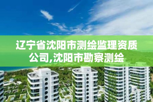 辽宁省沈阳市测绘监理资质公司,沈阳市勘察测绘