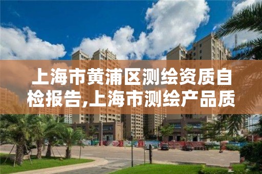 上海市黄浦区测绘资质自检报告,上海市测绘产品质量