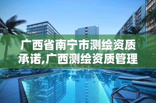 广西省南宁市测绘资质承诺,广西测绘资质管理系统