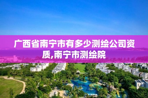 广西省南宁市有多少测绘公司资质,南宁市测绘院