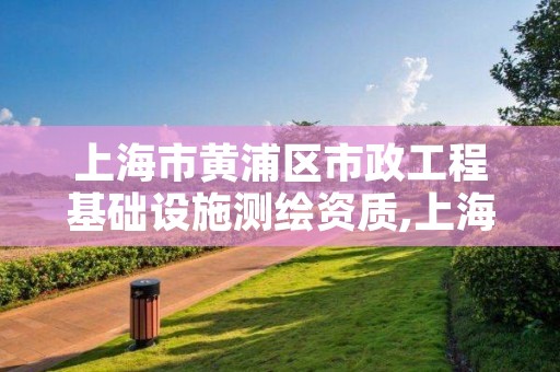 上海市黄浦区市政工程基础设施测绘资质,上海市测绘基准服务平台
