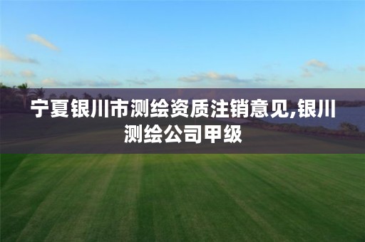 宁夏银川市测绘资质注销意见,银川测绘公司甲级