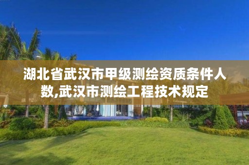 湖北省武汉市甲级测绘资质条件人数,武汉市测绘工程技术规定