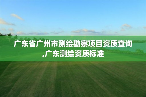 广东省广州市测绘勘察项目资质查询,广东测绘资质标准