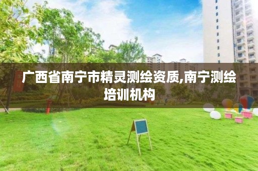 广西省南宁市精灵测绘资质,南宁测绘培训机构