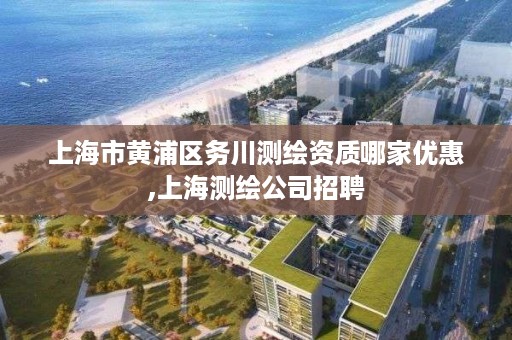 上海市黄浦区务川测绘资质哪家优惠,上海测绘公司招聘