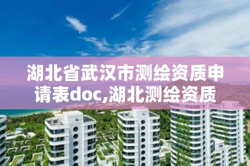 湖北省武汉市测绘资质申请表doc,湖北测绘资质查询