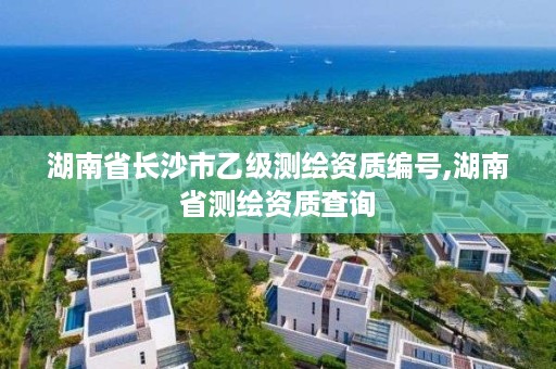 湖南省长沙市乙级测绘资质编号,湖南省测绘资质查询