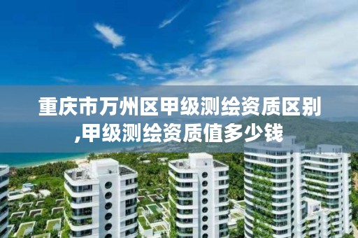 重庆市万州区甲级测绘资质区别,甲级测绘资质值多少钱
