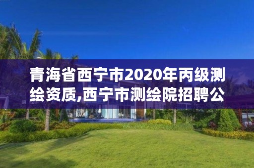 青海省西宁市2020年丙级测绘资质,西宁市测绘院招聘公示