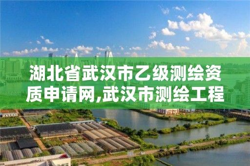 湖北省武汉市乙级测绘资质申请网,武汉市测绘工程技术规定