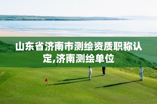 山东省济南市测绘资质职称认定,济南测绘单位