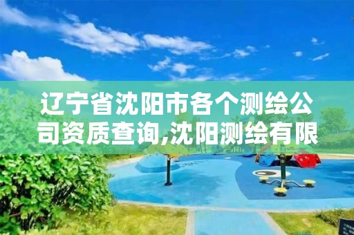 辽宁省沈阳市各个测绘公司资质查询,沈阳测绘有限公司
